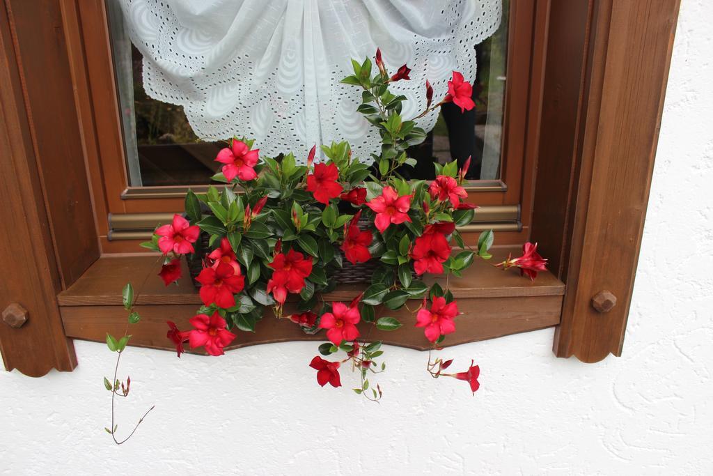 Haus Almrausch Ξενοδοχείο Ζέεφελντ Δωμάτιο φωτογραφία
